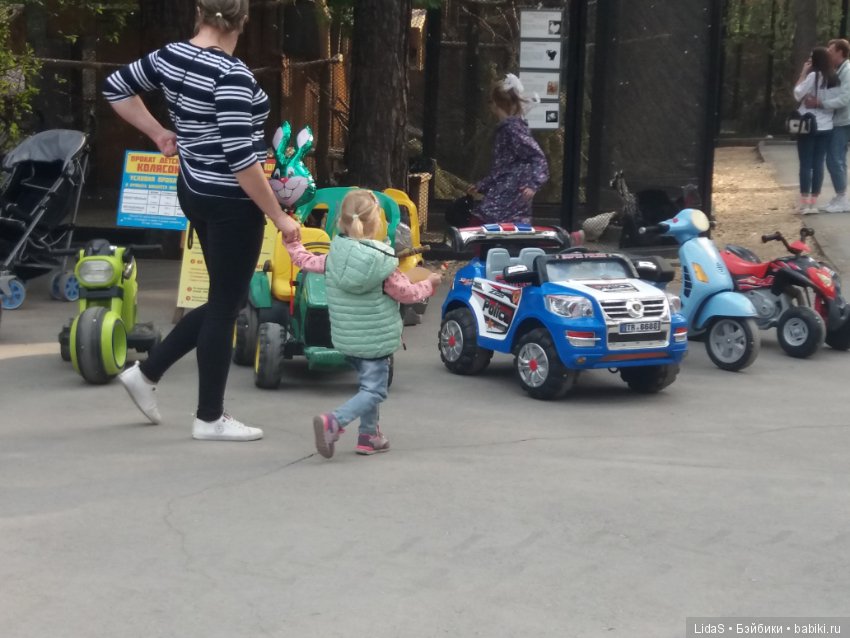 Продолжаем прогулку по зоопарку г. Новосибирска (фото 6)