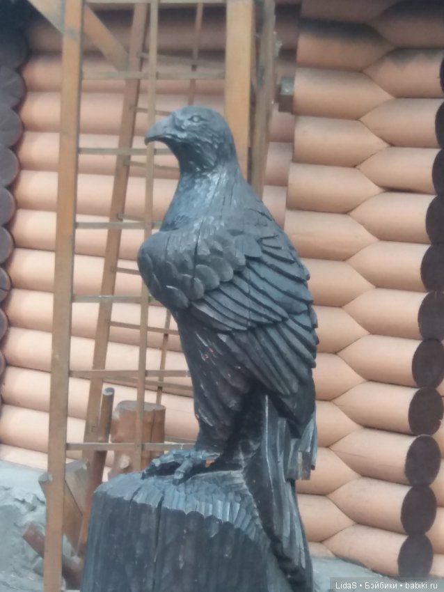 Продолжаем прогулку по зоопарку г. Новосибирска