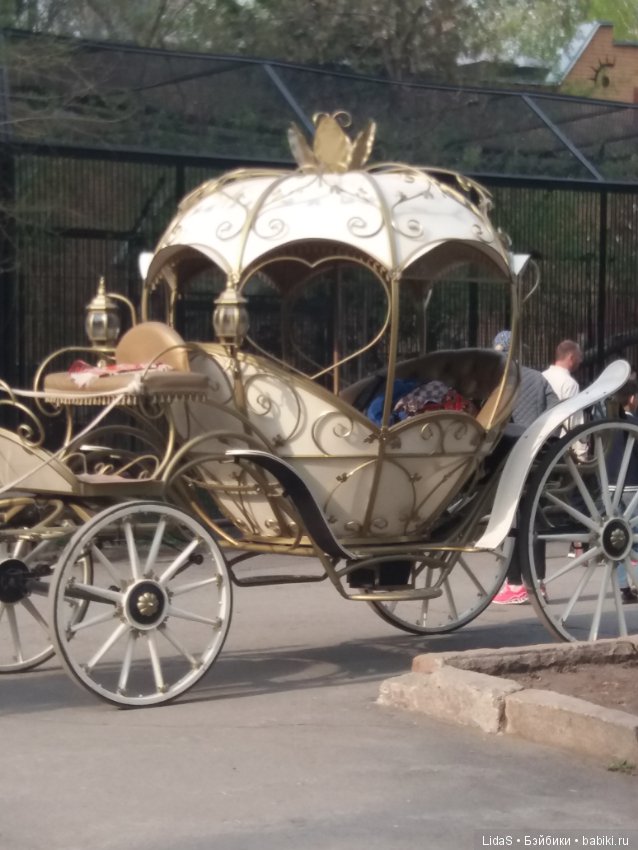 Продолжаем прогулку по зоопарку г. Новосибирска