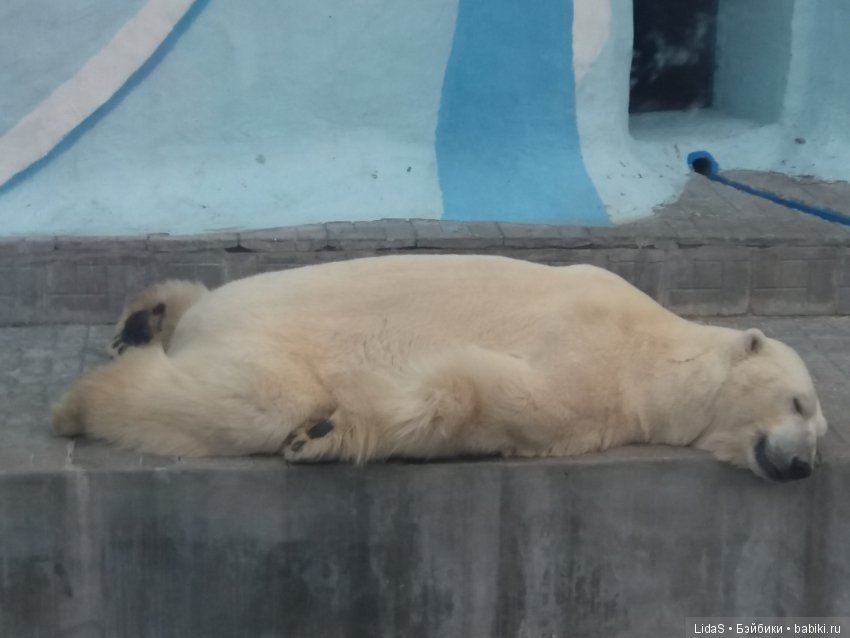 Прогулка по зоопарку. Первая в этом году