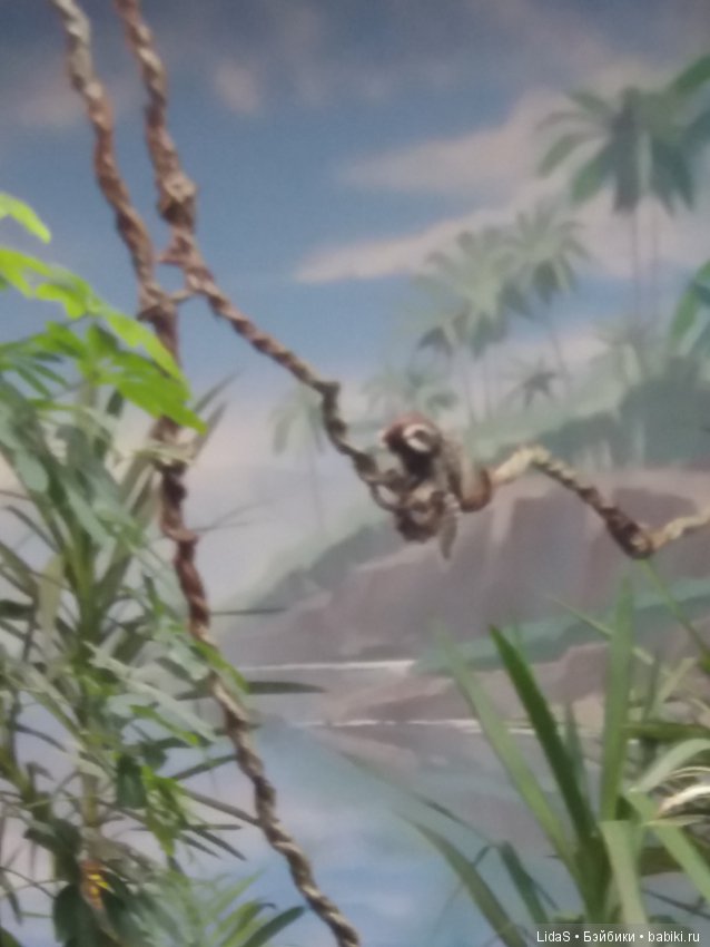 Прогулка по зоопарку. Первая в этом году