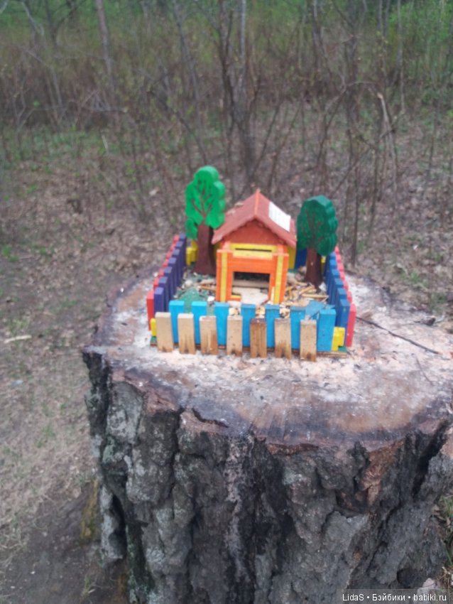 Продолжаем прогулку по зоопарку г. Новосибирска (фото 4)