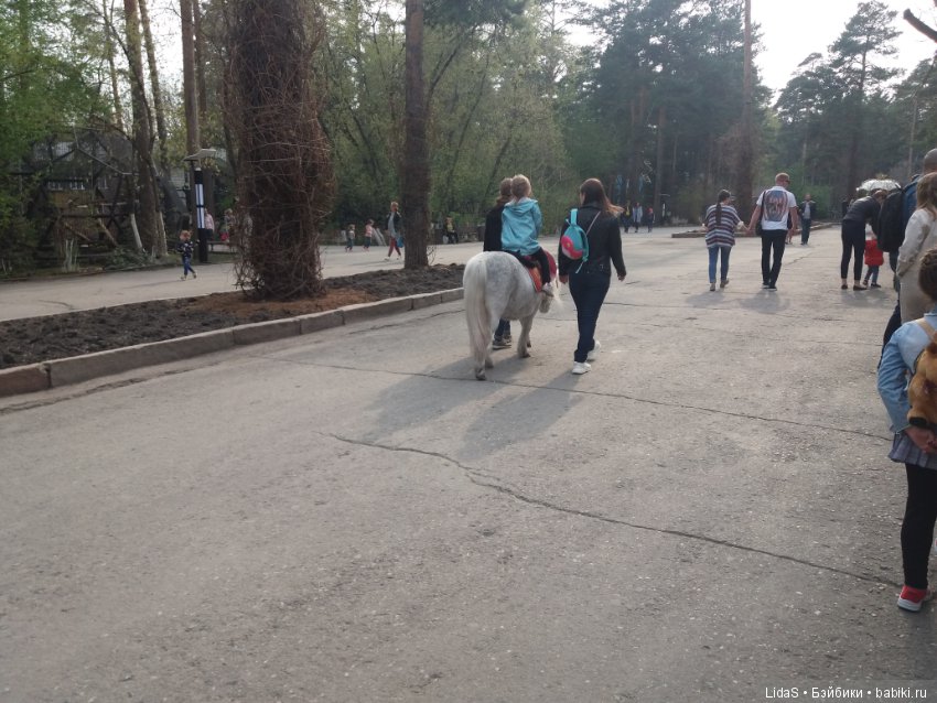 Прогулка по зоопарку. Первая в этом году