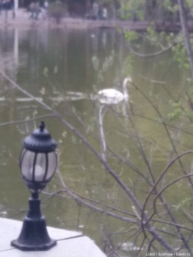 Продолжаем прогулку по зоопарку г. Новосибирска