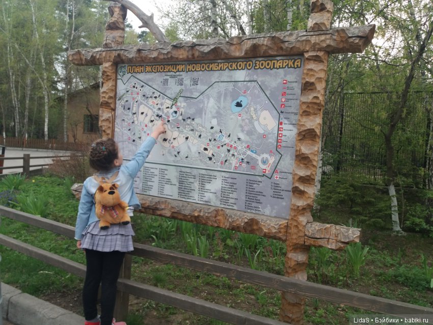Продолжаем прогулку по зоопарку г. Новосибирска