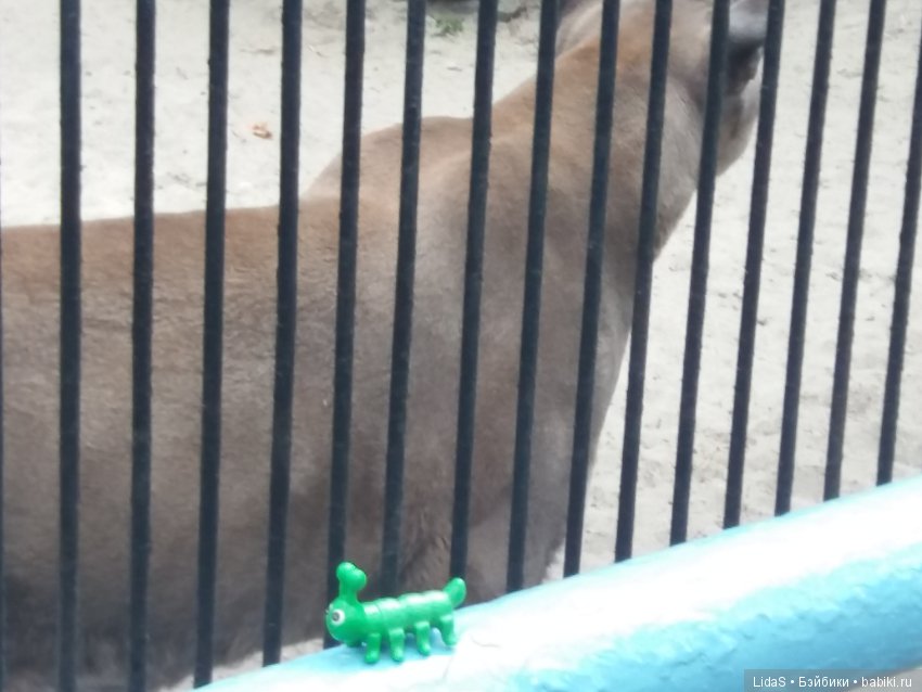 Прогулка по зоопарку. Первая в этом году