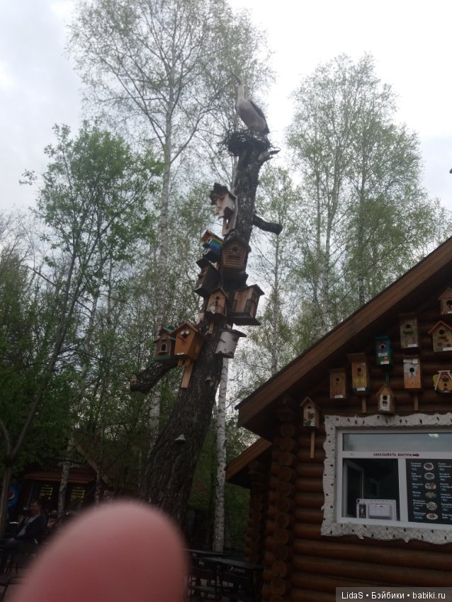 Прогулка по зоопарку. Первая в этом году