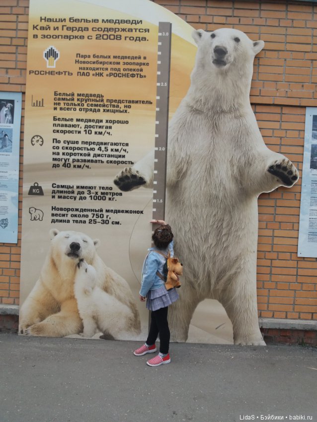 Прогулка по зоопарку. Первая в этом году (фото 10)