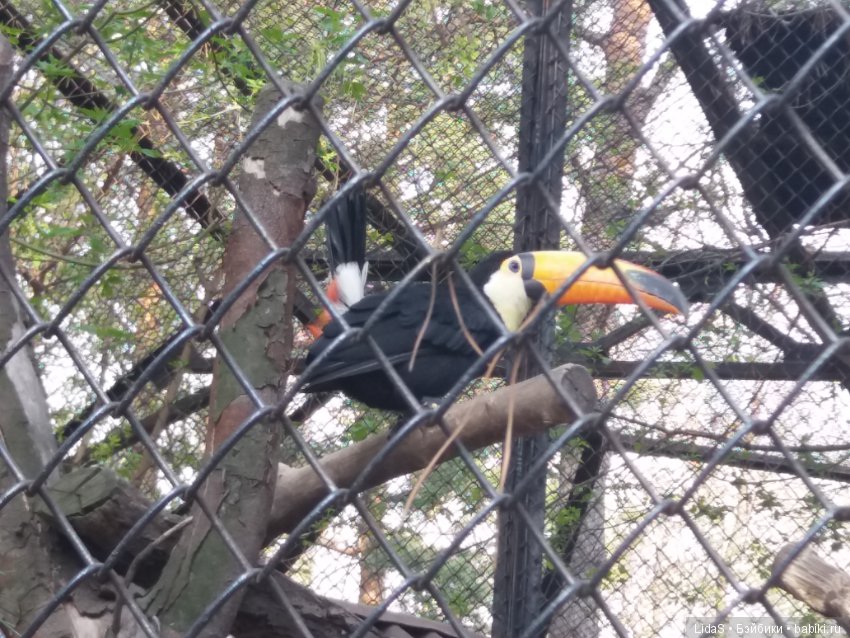 Прогулка по зоопарку. Первая в этом году