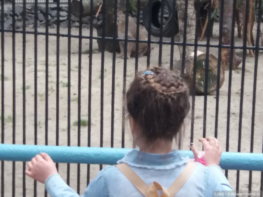 Прогулка по зоопарку. Первая в этом году