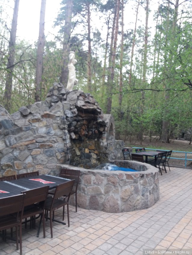 Продолжаем прогулку по зоопарку г. Новосибирска (фото 8)