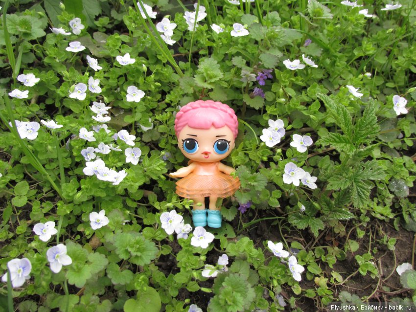 Весна. Цветы. LOL — Куклы L (фото 2)