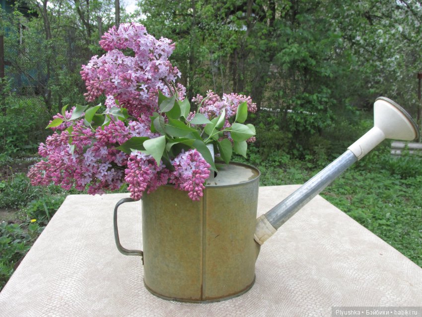 Весна. Цветы. LOL — Куклы L (фото 6)