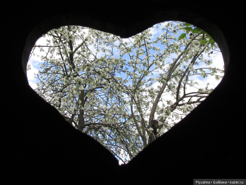 Весна. Цветы. LOL — Куклы L (фото 5)