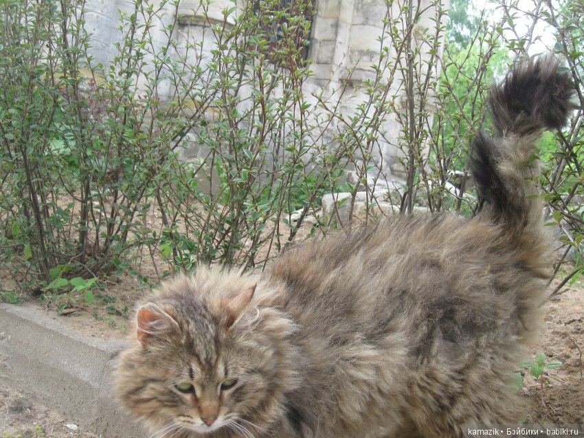 Район Камазовка. Конкурс красоты - это не только подиум, но и путешествия