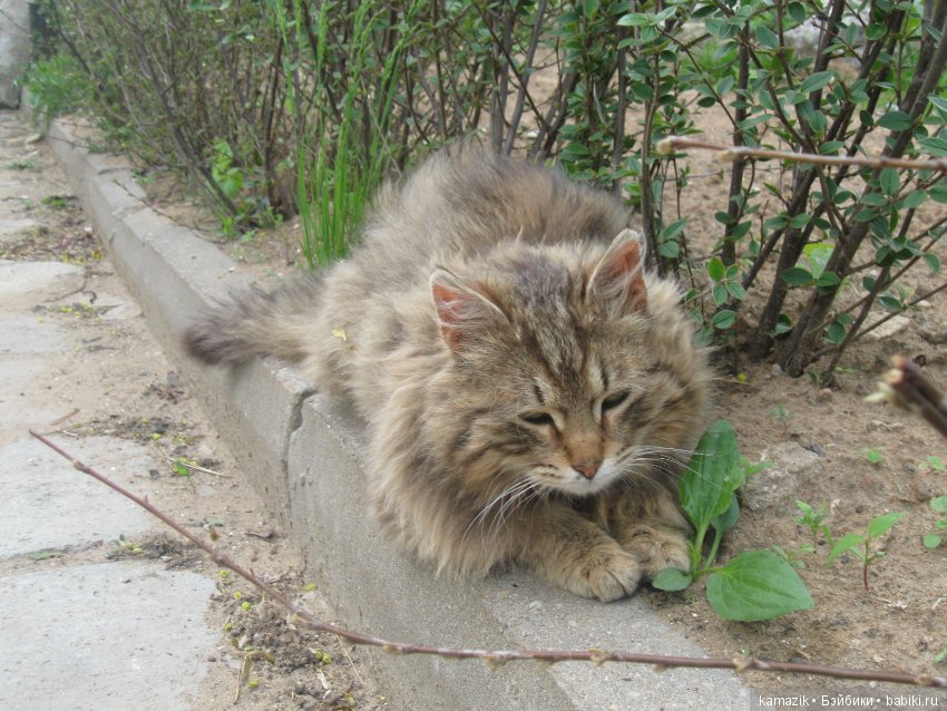 Район Камазовка. Конкурс красоты - это не только подиум, но и путешествия