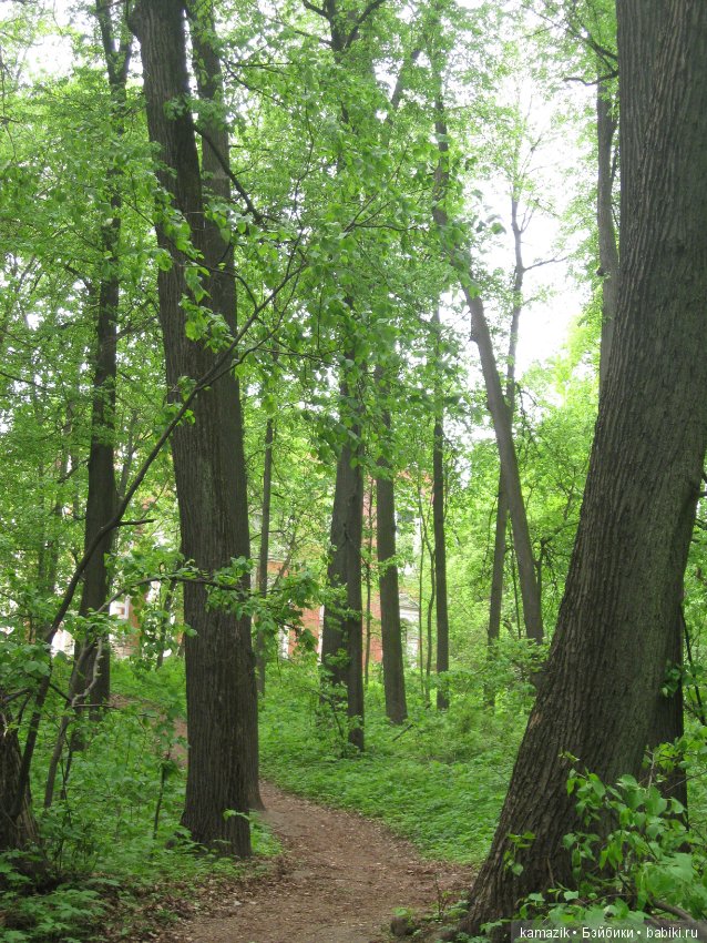 Район Камазовка. Конкурс красоты - это не только подиум, но и путешествия. 2 (фото 3)