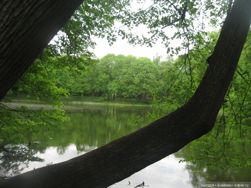 Район Камазовка. Конкурс красоты - это не только подиум, но и путешествия. 2