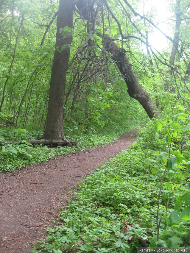 Район Камазовка. Конкурс красоты - это не только подиум, но и путешествия. 2