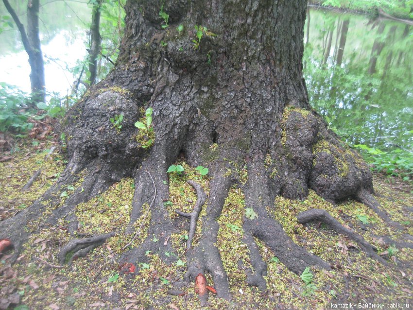 Район Камазовка. Конкурс красоты - это не только подиум, но и путешествия. 2