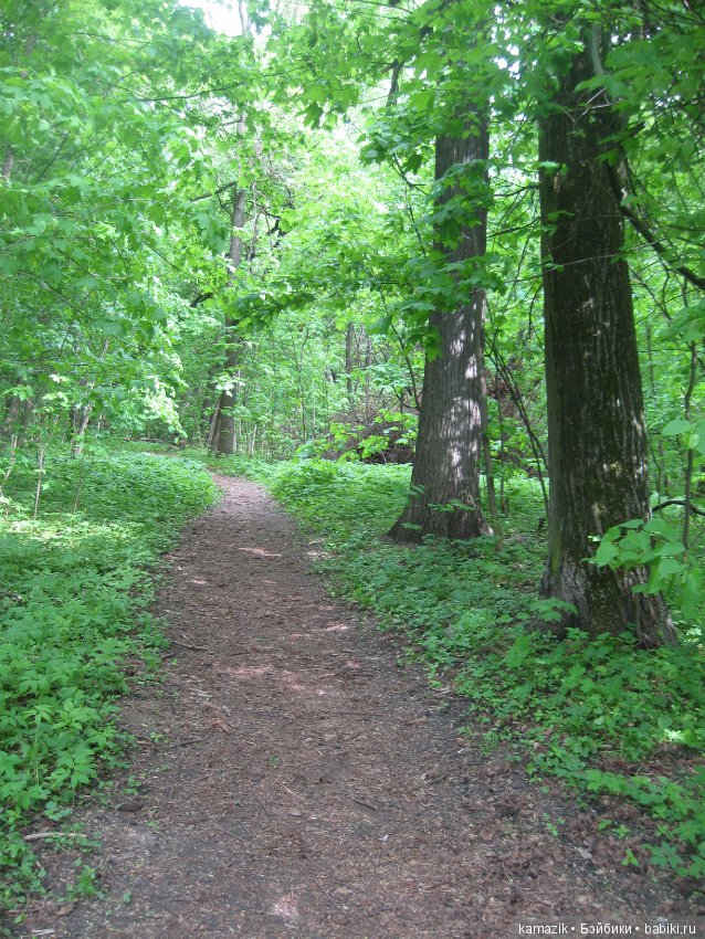 Район Камазовка. Конкурс красоты - это не только подиум, но и путешествия. 2