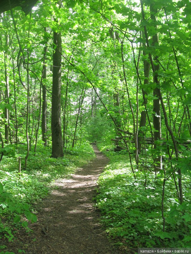 Район Камазовка. Конкурс красоты - это не только подиум, но и путешествия. 2