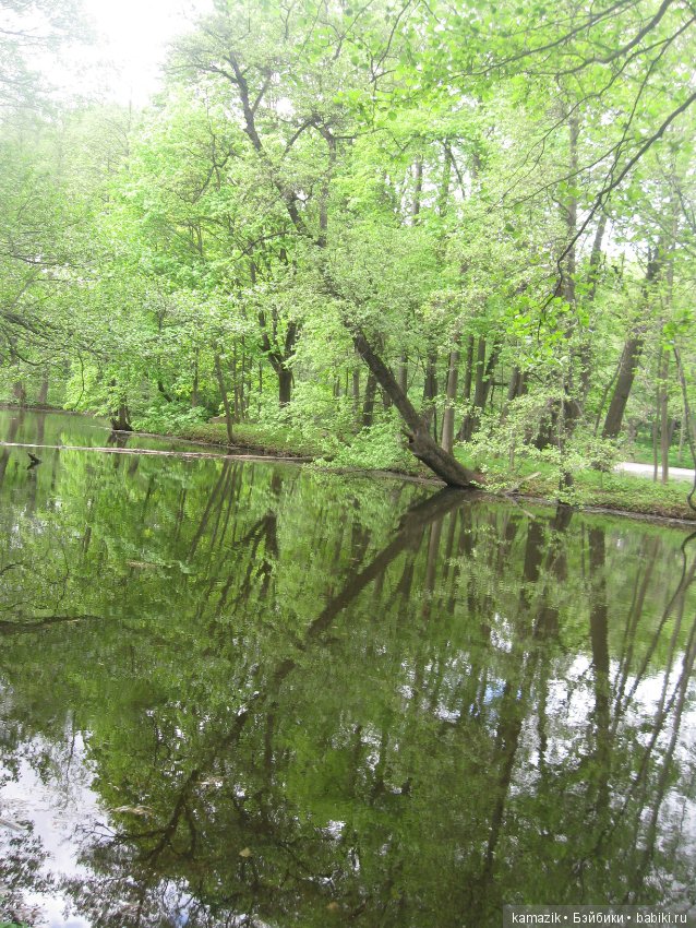 Район Камазовка. Конкурс красоты - это не только подиум, но и путешествия. 2