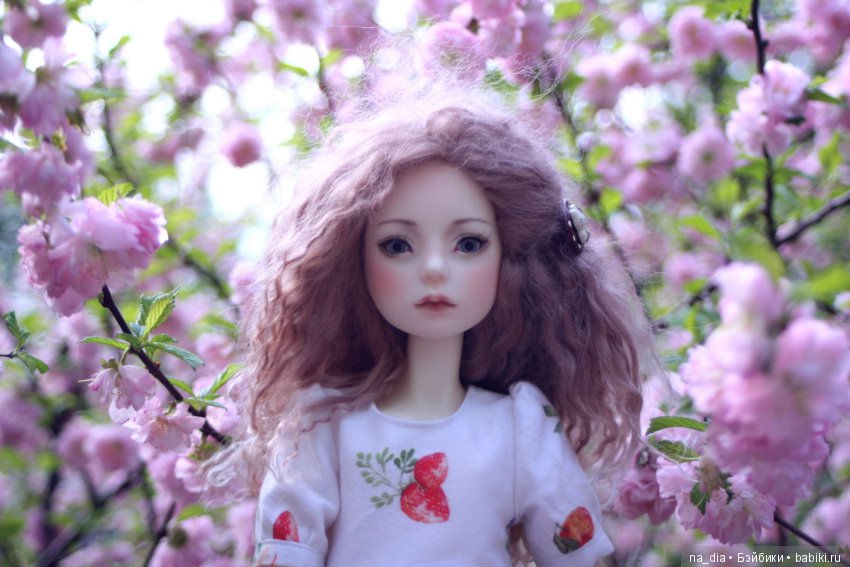 Весна идет, весне дорогу — Куклы Dollmore (Доллмор): корейские BJD (БЖД)