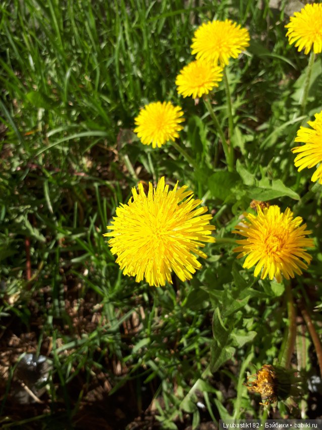 В благодарность — Болталка и разговоры обо всем: жизнь (фото 6)