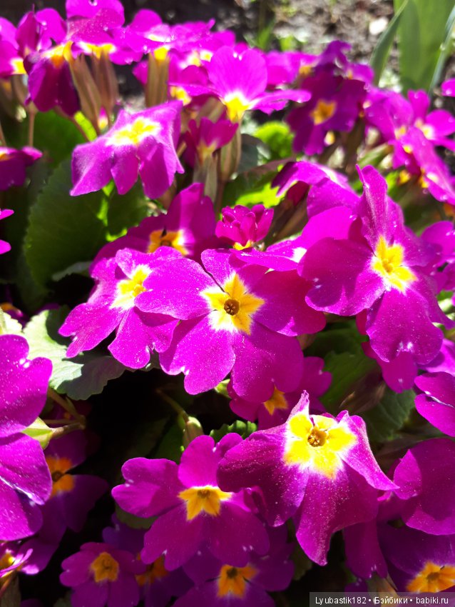 В благодарность — Болталка и разговоры обо всем: жизнь (фото 2)