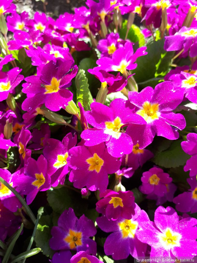 В благодарность — Болталка и разговоры обо всем: жизнь