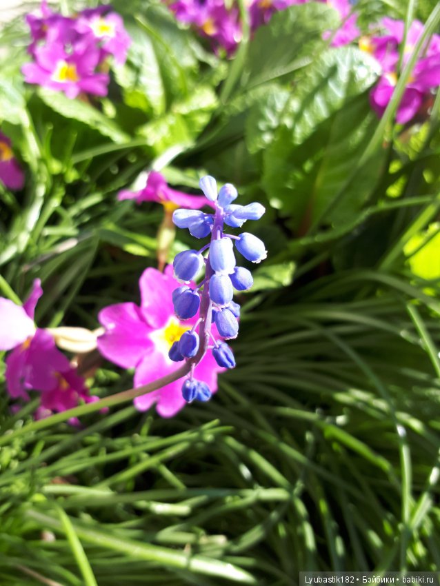 В благодарность — Болталка и разговоры обо всем: жизнь (фото 3)