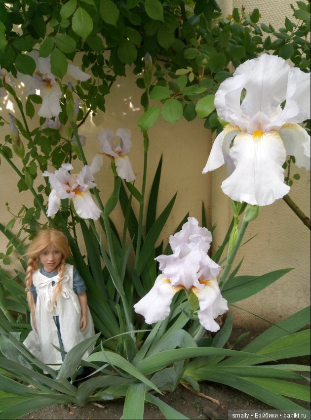 Hedwig - девочка цветущих ирисов