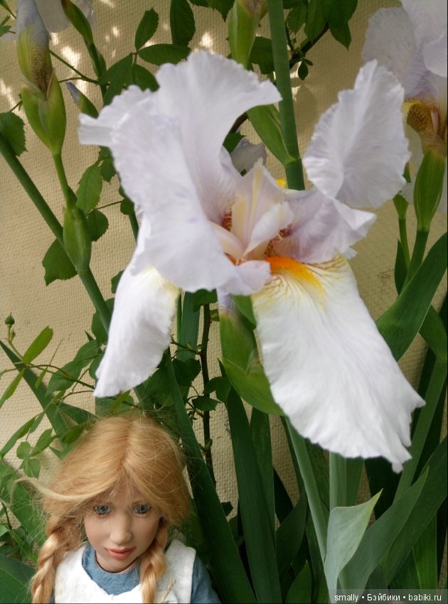 Hedwig - девочка цветущих ирисов
