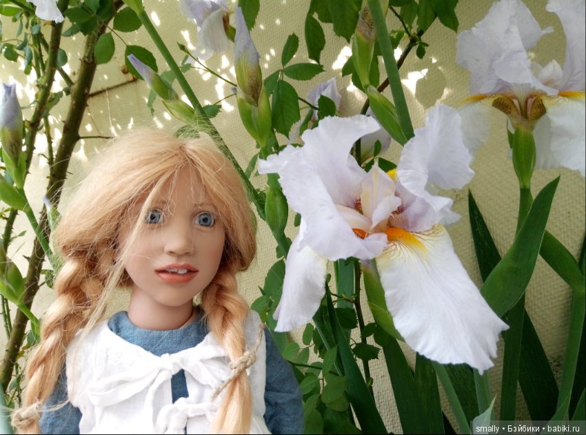 Hedwig - девочка цветущих ирисов