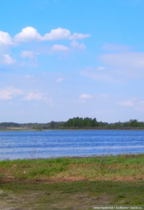 Мещера, весна, куколка ГДР (фото 7)