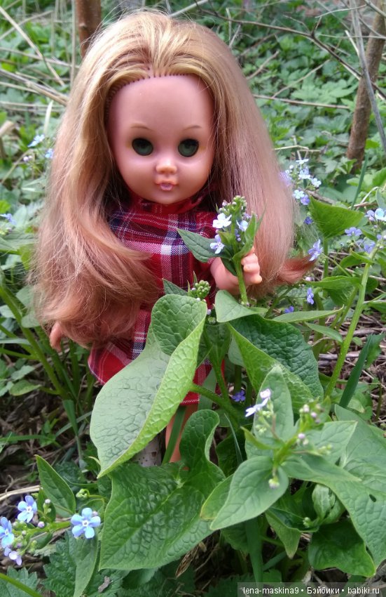 Мещера, весна, куколка ГДР