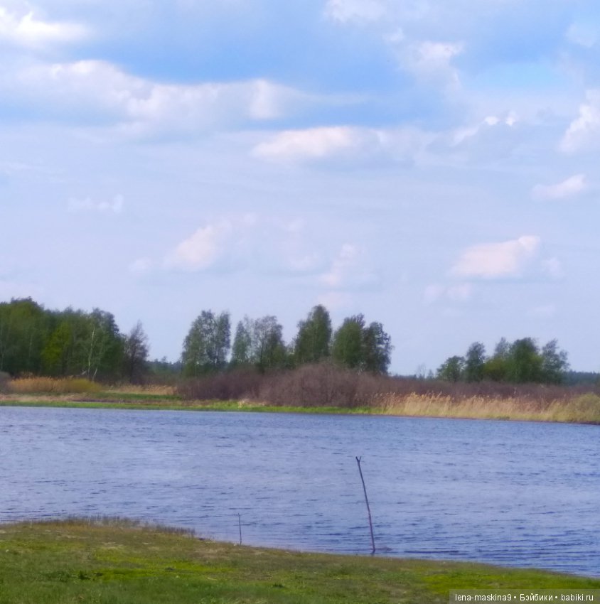 Мещера, весна, куколка ГДР (фото 8)