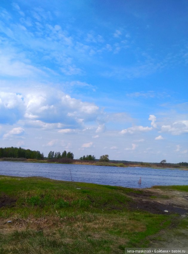 Мещера, весна, куколка ГДР (фото 6)