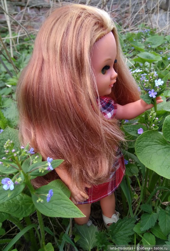 Мещера, весна, куколка ГДР