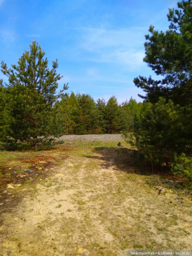 Мещера, весна, куколка ГДР (фото 9)