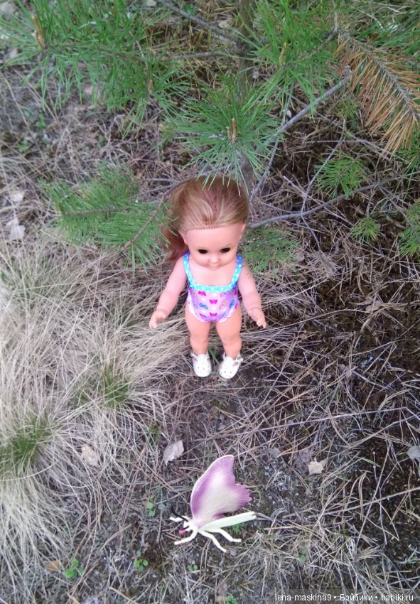 Мещера, весна, куколка ГДР