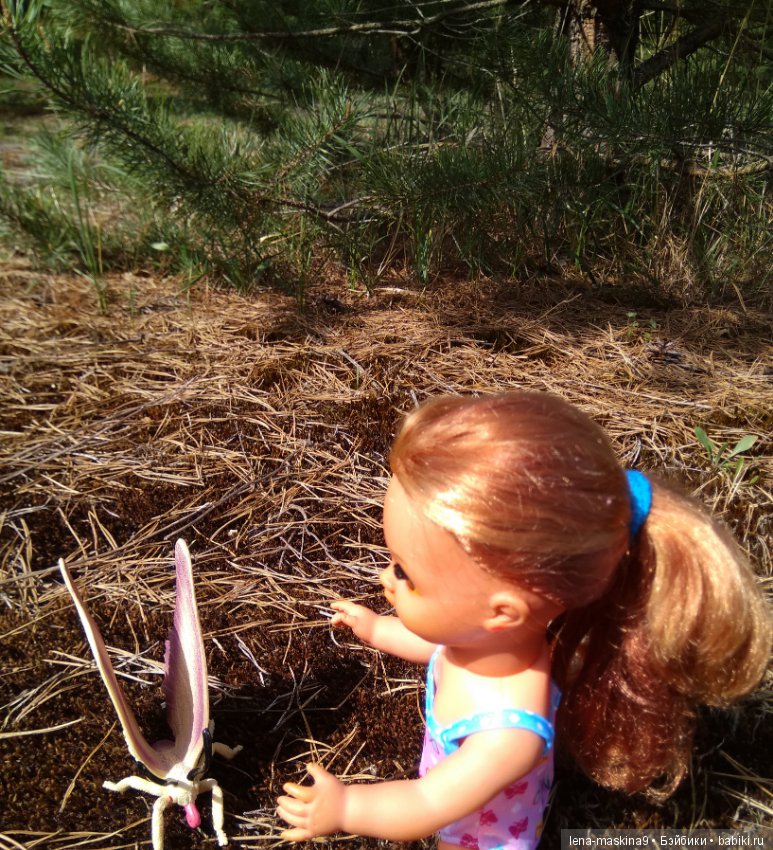 Мещера, весна, куколка ГДР