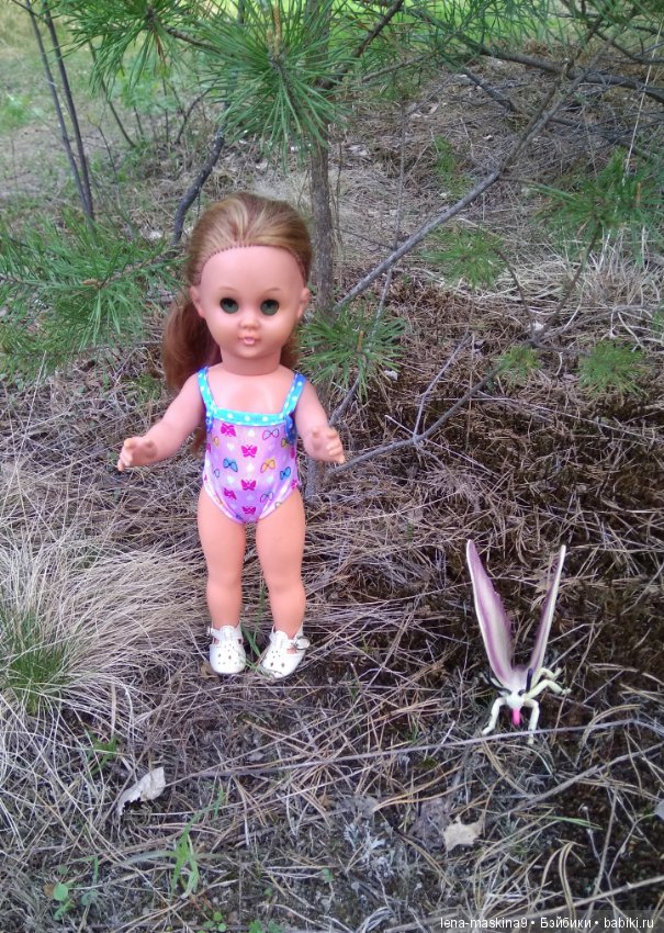 Мещера, весна, куколка ГДР