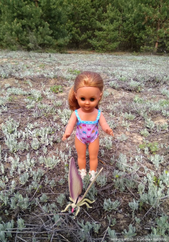 Мещера, весна, куколка ГДР