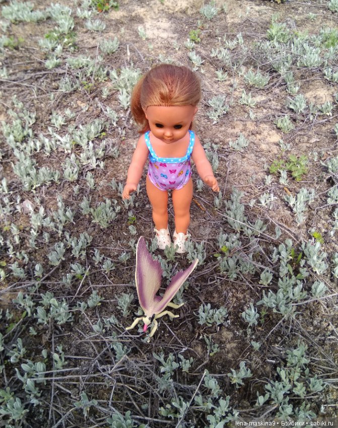 Мещера, весна, куколка ГДР