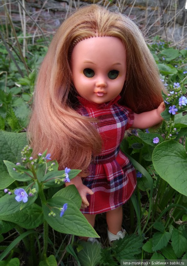 Мещера, весна, куколка ГДР