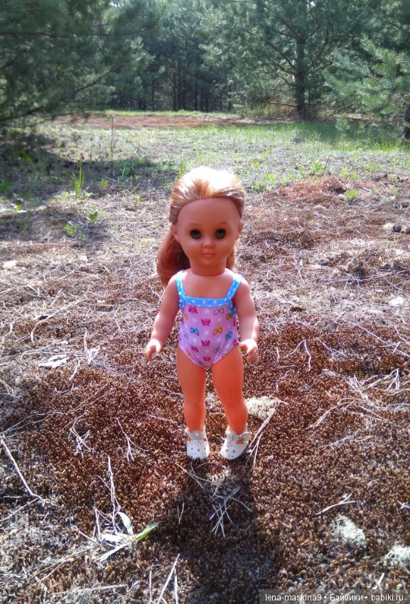 Мещера, весна, куколка ГДР