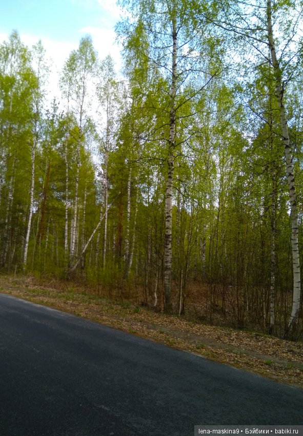 Мещера, весна, куколка ГДР