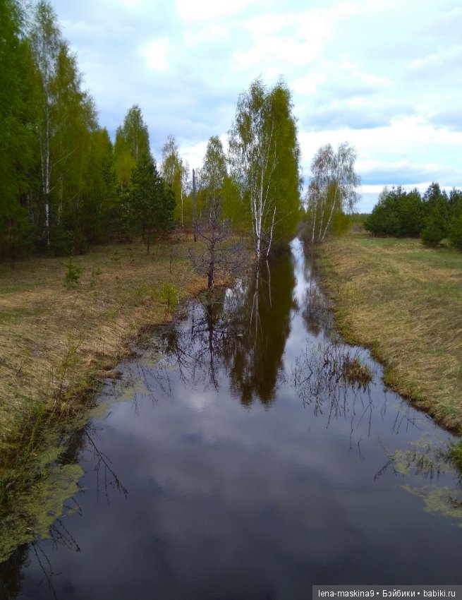 Мещера, весна, куколка ГДР